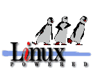 Linux SMP Logo